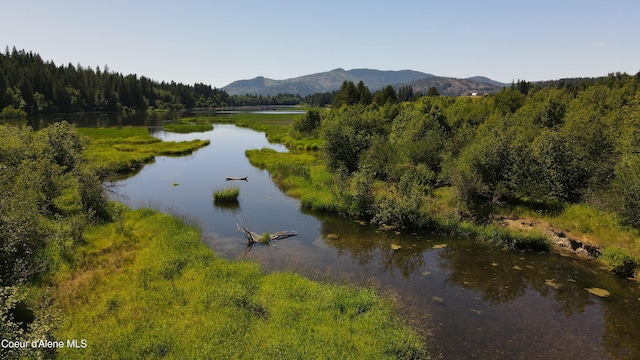 3216 Dufort Rd, Sagle, ID 83860 - water view featuring a mountain backdrop and a heavily wooded area