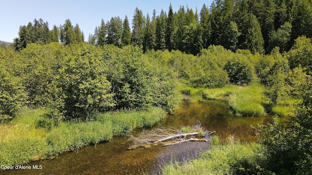 3216 Dufort Rd, Sagle, ID 83860 - view of local wilderness