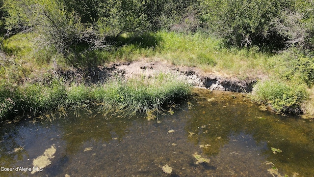 3216 Dufort Rd, Sagle, ID 83860 - view of undeveloped land