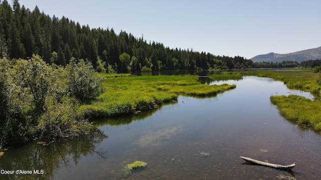 3216 Dufort Rd, Sagle, ID 83860 - water view featuring a forest and a mountainous background