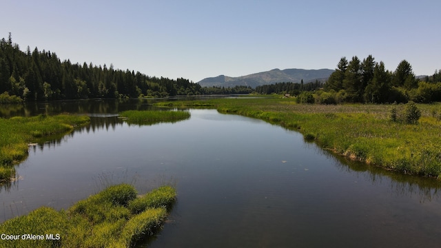 3216 Dufort Rd, Sagle, ID 83860 - water view with a forest and a mountainous background