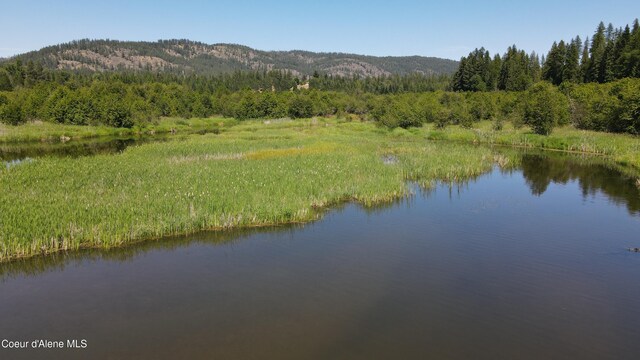 3216 Dufort Rd, Sagle, ID 83860 - water view with a forest and a mountainous background