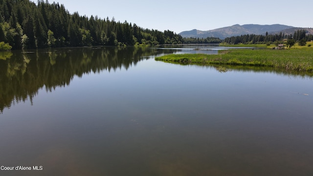 3216 Dufort Rd, Sagle, ID 83860 - water view featuring a forest and mountains