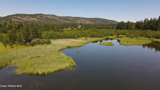 3216 Dufort Rd, Sagle, ID 83860 - drone / aerial view of a heavily wooded area and a water and mountain view