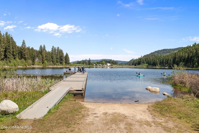dock area featuring a water view and a forest view