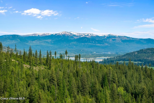view of mountain backdrop with a heavily wooded area and a large body of water