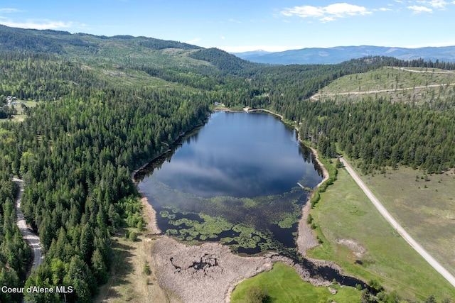 aerial overview of property's location with a heavily wooded area and a water and mountain view
