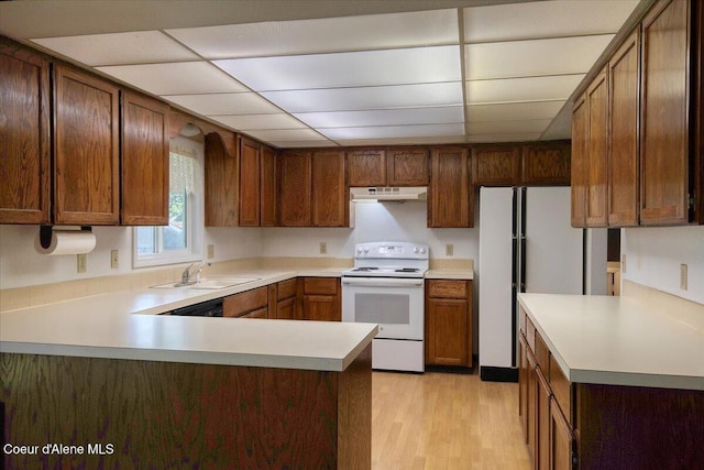 kitchen with white appliances, a sink, under cabinet range hood, a paneled ceiling, and light wood-type flooring