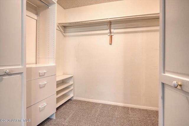 walk in closet featuring carpet