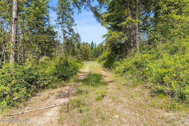 300 Trails End Rd, Athol, ID 83801