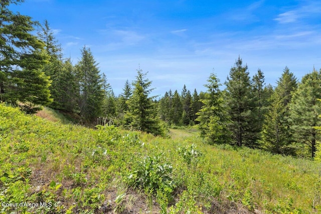 300 Trails End Rd, Athol, ID 83801