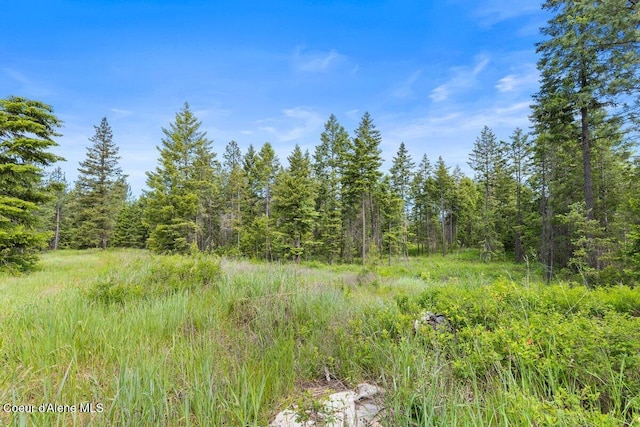 300 Trails End Rd, Athol, ID 83801