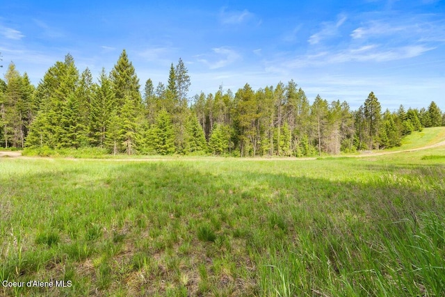 300 Trails End Rd, Athol, ID 83801
