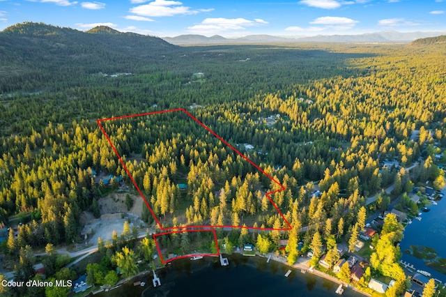 8072 W Radmer Rd, Rathdrum, ID 83858 - aerial overview of property's location with a heavily wooded area, a mountainous background, and property boundaries highlighted