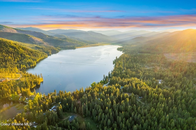 8072 W Radmer Rd, Rathdrum, ID 83858 - water view with mountains and a heavily wooded area
