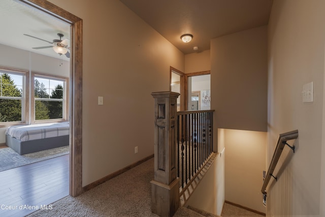 stairs featuring ceiling fan, baseboards, and carpet flooring