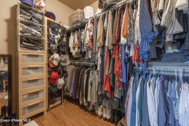walk in closet featuring wood finished floors