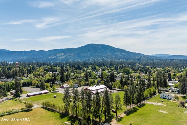 bird's eye view of mountains