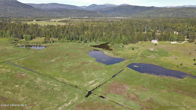 774 Old Kootenai Trl, Sandpoint, ID 83864 - photo 3