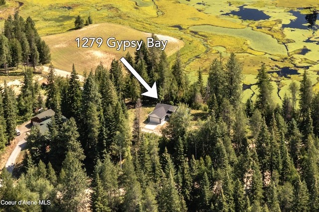 1279 Gypsy Bay Rd, Sagle, ID 83860 - photo 39