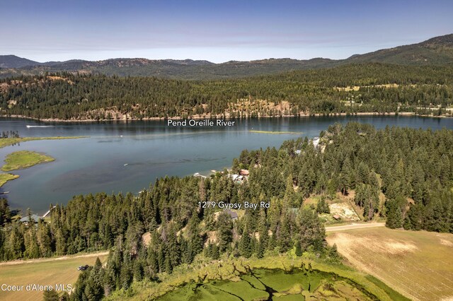 1279 Gypsy Bay Rd, Sagle, ID 83860 - photo 41