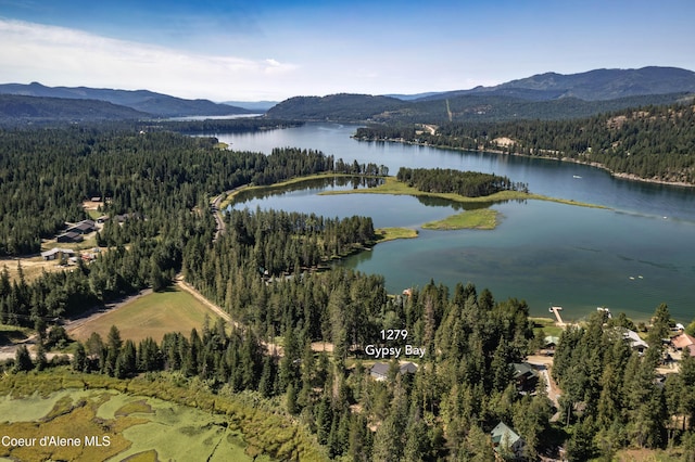 1279 Gypsy Bay Rd, Sagle, ID 83860 - photo 42