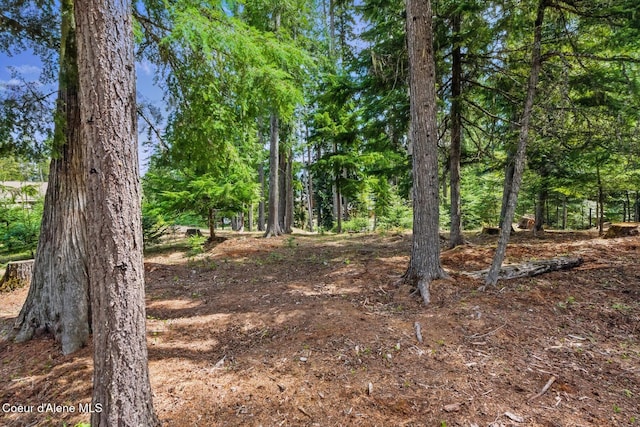 304 Hagman Rd, Nordman, ID 83848 - view of undeveloped land