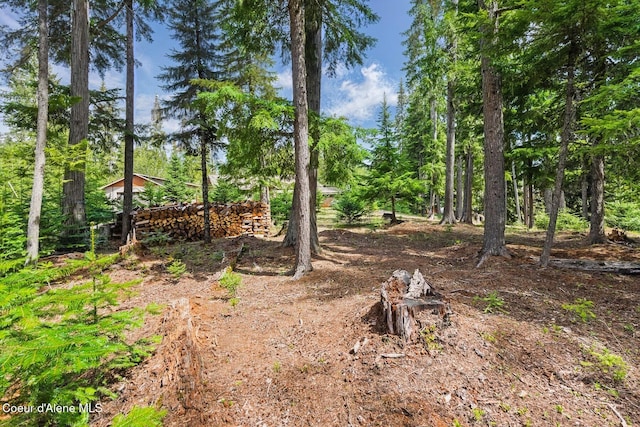 304 Hagman Rd, Nordman, ID 83848 - view of yard