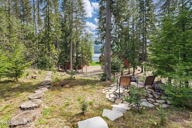 304 Hagman Rd, Nordman, ID 83848 - view of yard with a patio area