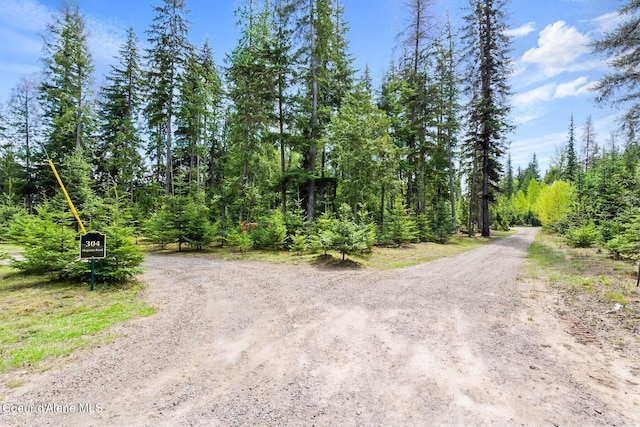 304 Hagman Rd, Nordman, ID 83848 - view of dirt / gravel road featuring a forest view