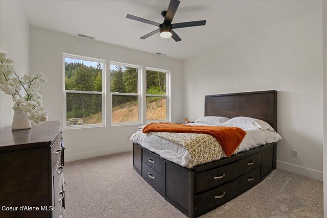 424 Patriots Dr, Saint Maries, ID 83861 - photo 43