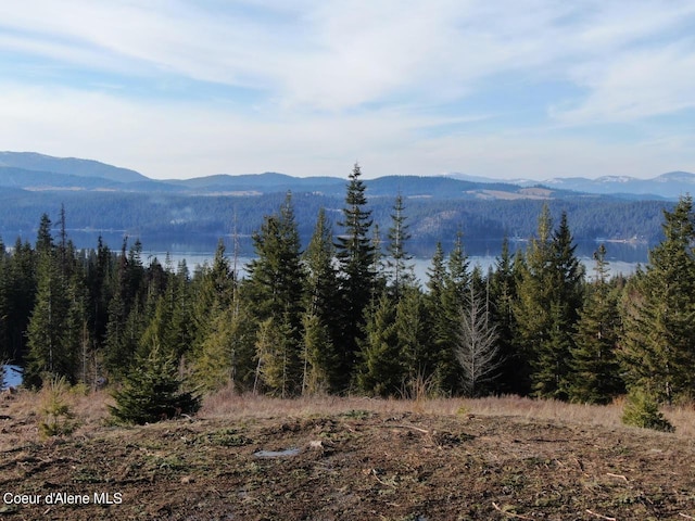 L5B9 Kapalua Rd, Harrison, ID 83833