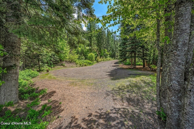 L5B9 Kapalua Rd, Harrison, ID 83833