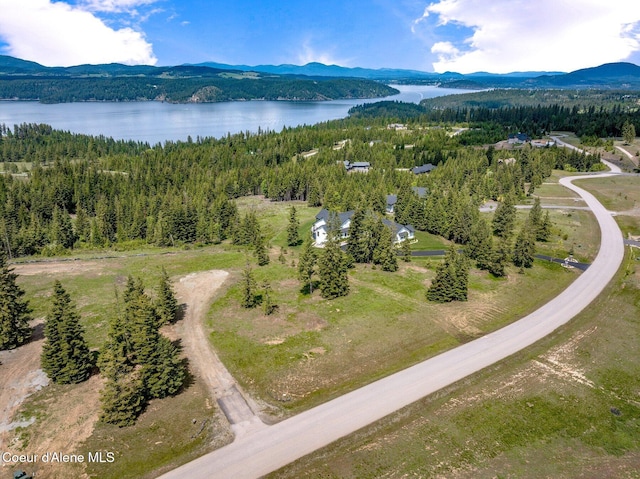 L5B9 Kapalua Rd, Harrison, ID 83833