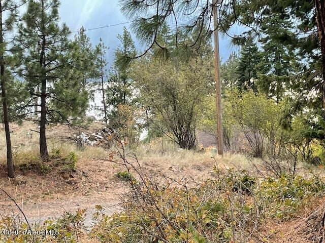 NKA Cape Horn Dr, Bayview, ID 83803