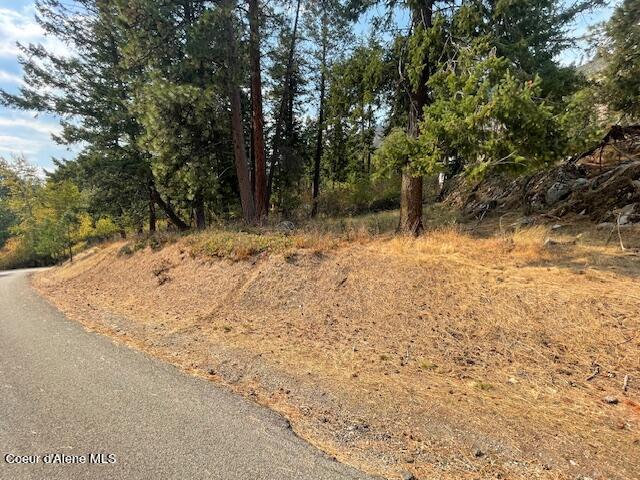 NKA Cape Horn Dr, Bayview, ID 83803