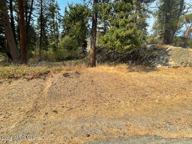 NKA Cape Horn Dr, Bayview, ID 83803