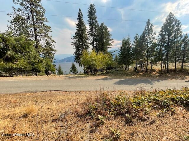 NKA Cape Horn Dr, Bayview, ID 83803