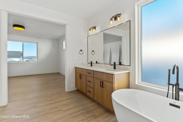 bathroom featuring double vanity, wood finished floors, a freestanding bath, and baseboards