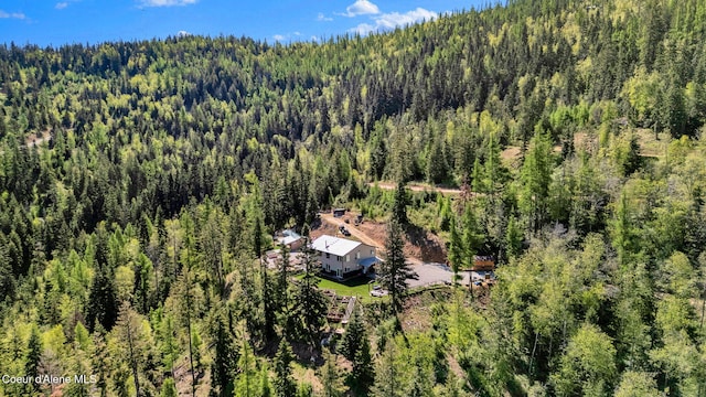 12251 W Blessing Hill Rd, Post Falls, ID 83854 - view of subject property with a forest