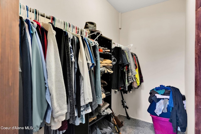 12251 W Blessing Hill Rd, Post Falls, ID 83854 - walk in closet with carpet floors