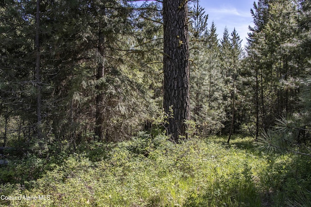 249 Gun Club Rd, Sagle, ID 83860 - view of woods