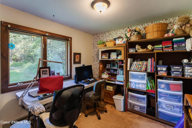 249 Gun Club Rd, Sagle, ID 83860 - office area featuring carpet floors
