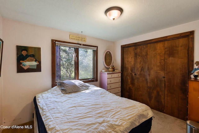 249 Gun Club Rd, Sagle, ID 83860 - bedroom with carpet and a closet