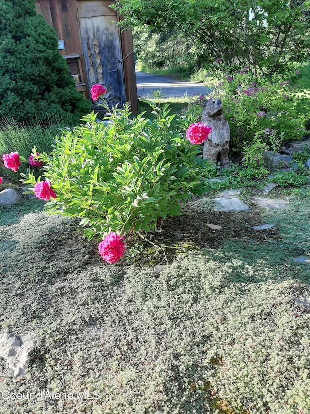 249 Gun Club Rd, Sagle, ID 83860 - view of yard