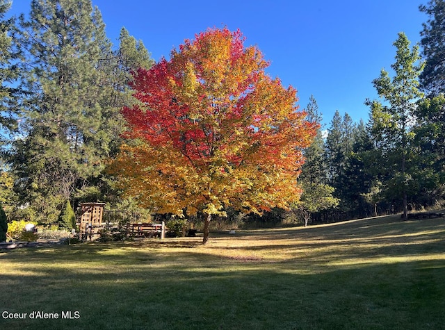 249 Gun Club Rd, Sagle, ID 83860 - view of community featuring a yard
