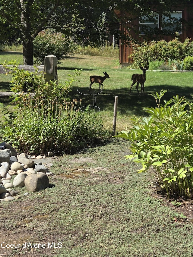 249 Gun Club Rd, Sagle, ID 83860 - view of home's community featuring a lawn