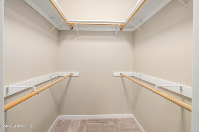 3253 W Magistrate Loop, Hayden, ID 83835 - walk in closet featuring carpet