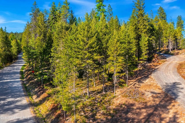 NNA Gold Mountain Dr, Sagle, ID 83860