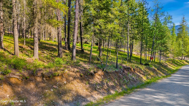 NNA Gold Mountain Dr, Sagle, ID 83860